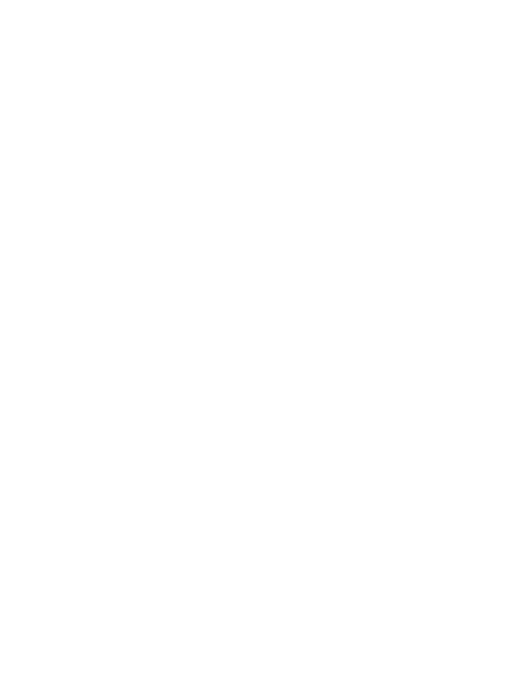Flavicon Lazerapi Équilibre